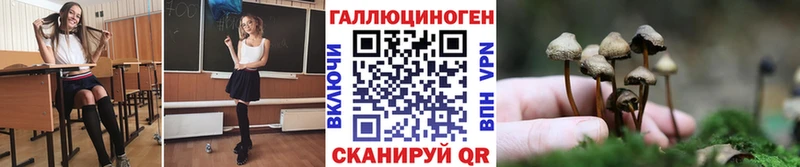 Псилоцибиновые грибы мухоморы  Павловская 